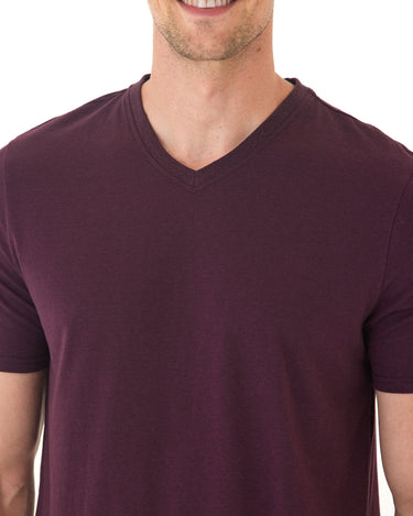 Triblend SS V-Neck Tee Threads 4 Thought 