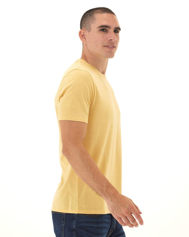 Triblend SS Crew Neck Tee Threads 4 Thought 