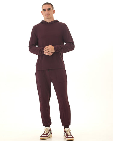 Dex Feather Fleece Pullover Hoodie Threads 4 Thought 