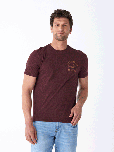 Bar Harbour Triblend Graphic Tee Mens Tops Tshirt Short Threads 4 Thought
